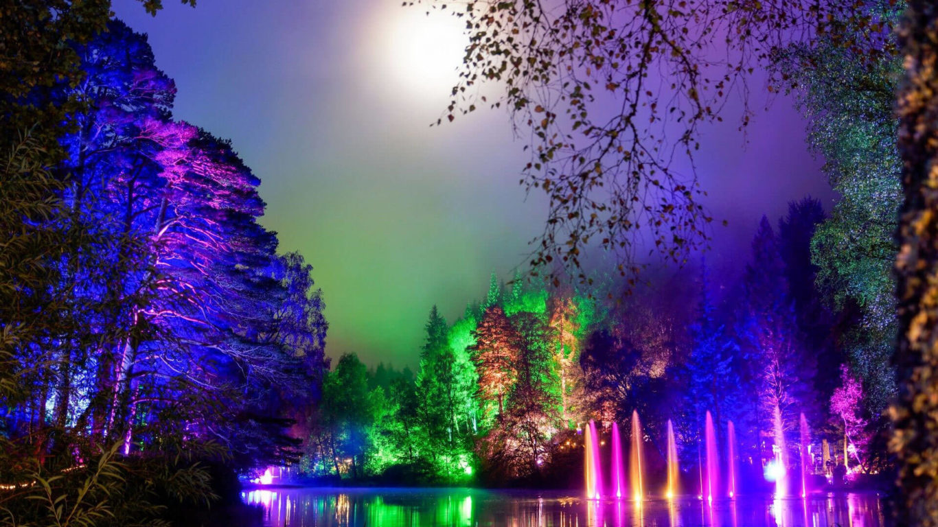 Enchanted Forest at Faskally Woods