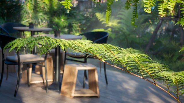 Green Team Atholl Palace