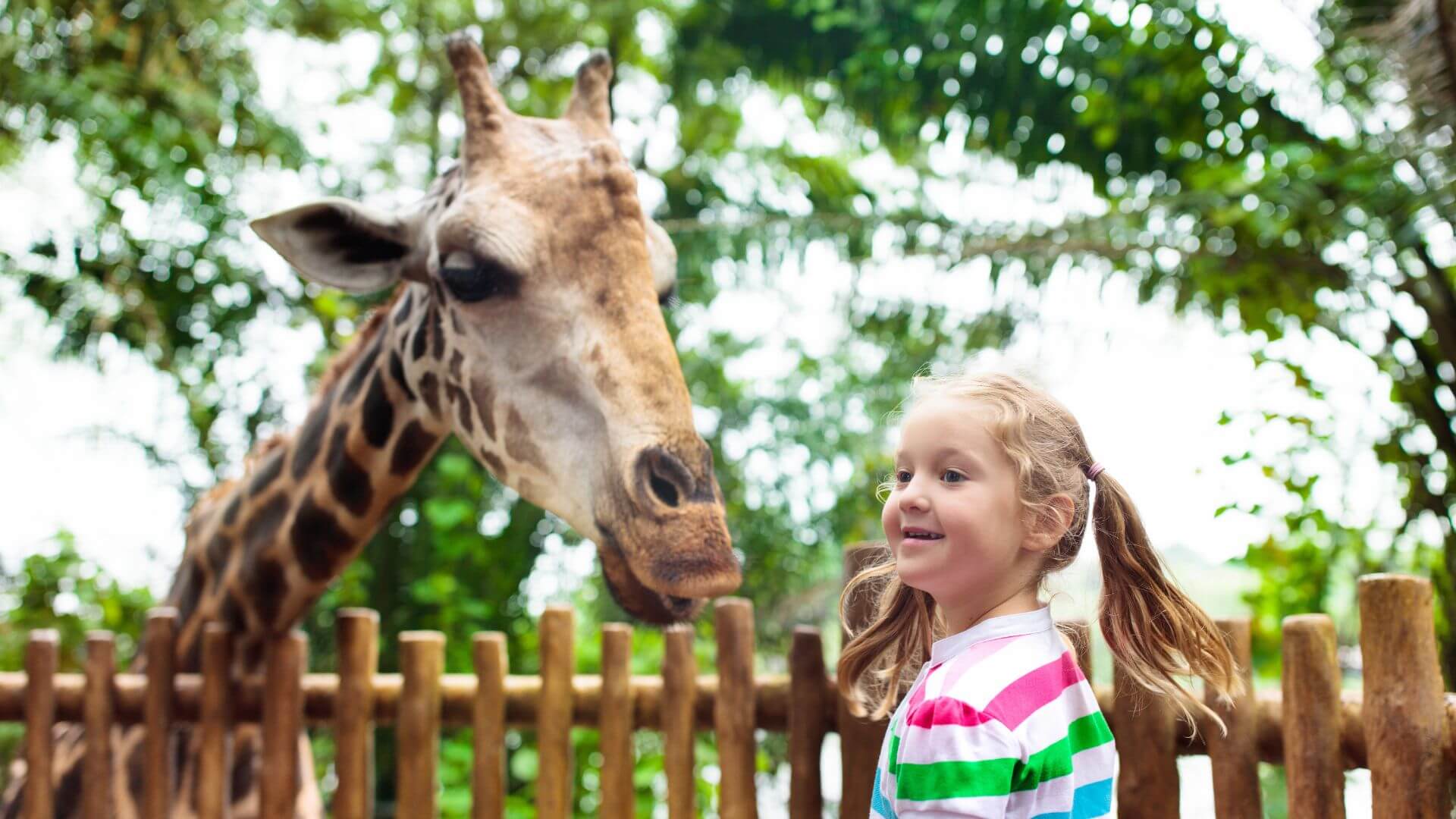 Blair Drummond Safari and Wildlife Park Atholl Palace Hotel