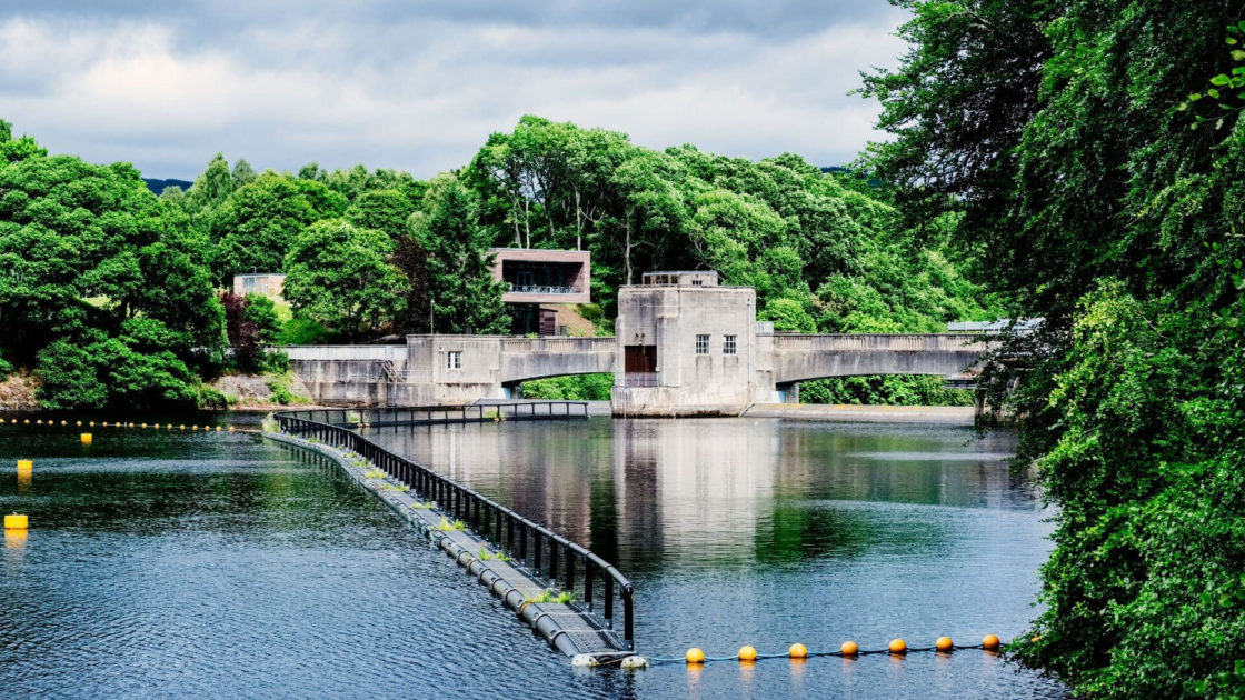 Salmon Ladder & Dam