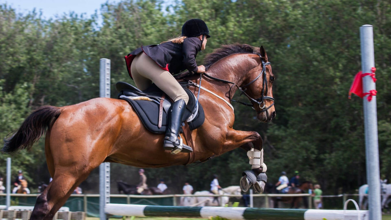 Blair Atholl Horse Trials Event page