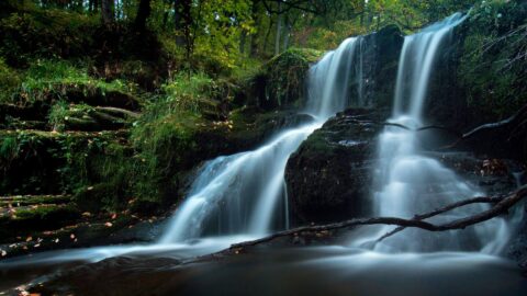 Black Spout Canva Image