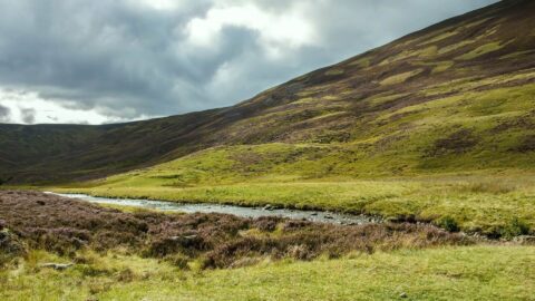 Clunie Walk Canva Image