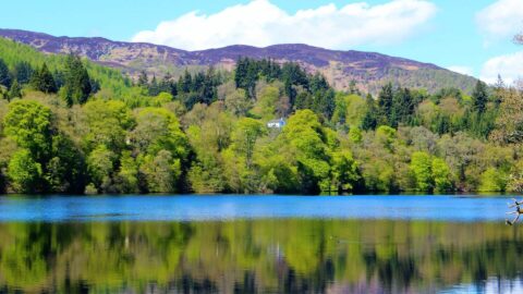Loch Faskally Canva Image