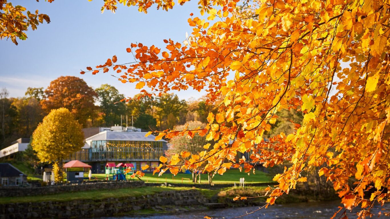 Pitlochry Festival Theatre Autumn Credit Fraser Band