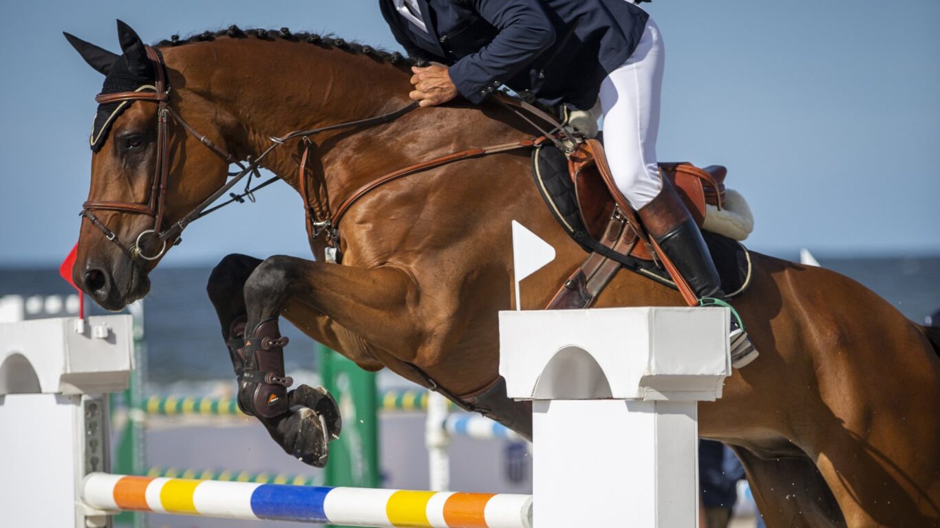Scone-Palace-International-Horse-Trials