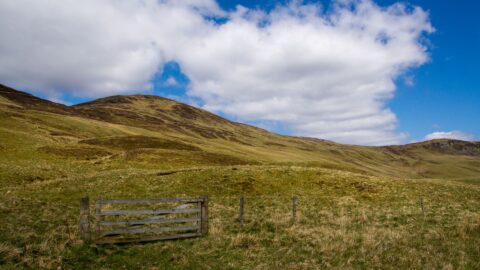 Cairngorms National Park 4